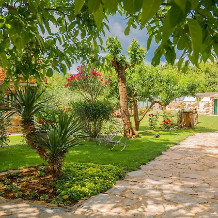 Tatil Evi I Zmijavci